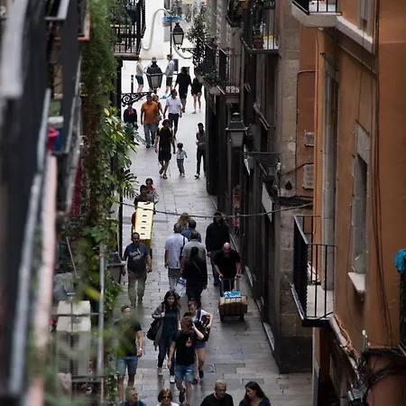 Vidre - Plaza Real Barcellona