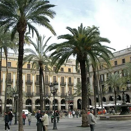 Guest house Vidre - Plaza Real
